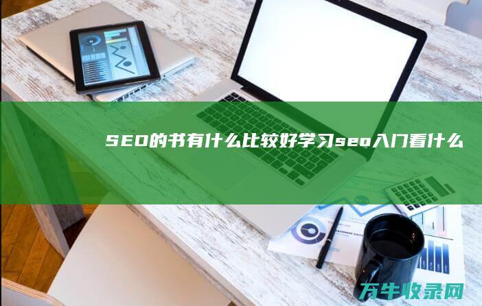 SEO 的书 有什么比较好学习 (seo入门看什么书)