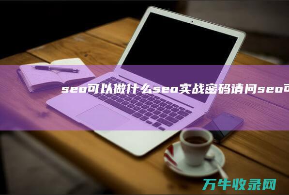 seo可以做什么 seo实战密码 (请问seo可以做什么)