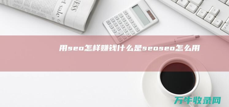 用seo怎样赚钱 什么是seo (seo怎么用)